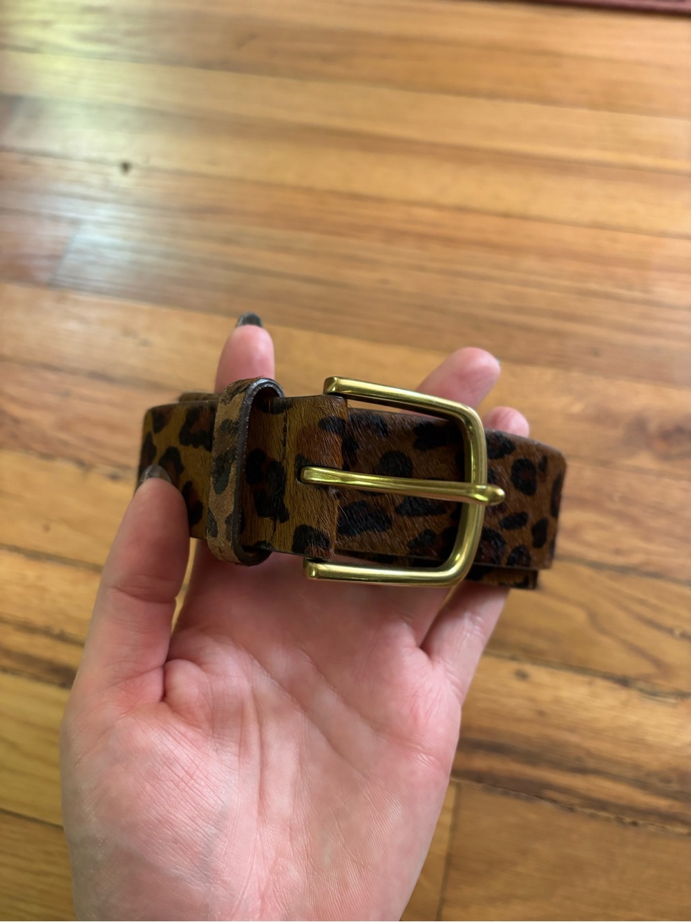 J. Crew Leopard Print Brown and Black Belt with Gold Buckle